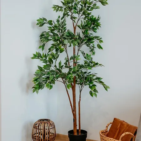 Apartment Avenue Center Sea Garden *