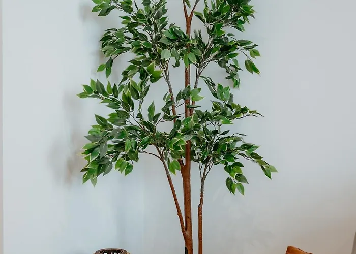 Appartement Avenue Center Sea Garden *